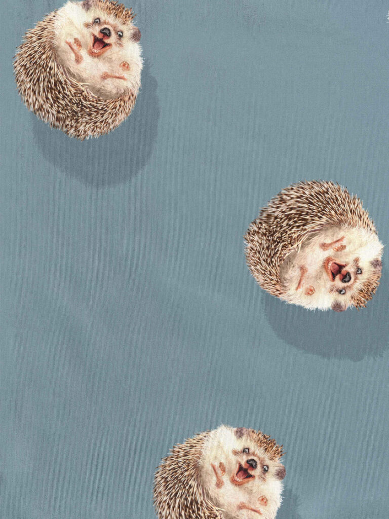 Snurk_hedgy_blue_detail_print